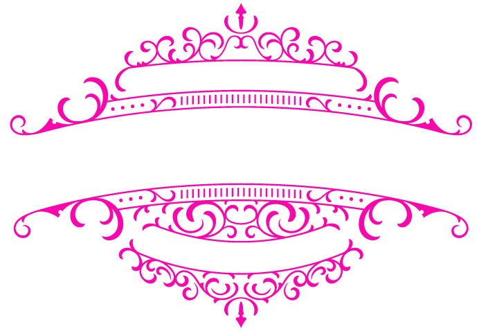 Shaner Promotions Inc. Party Buses logo with white text - Central Illinois